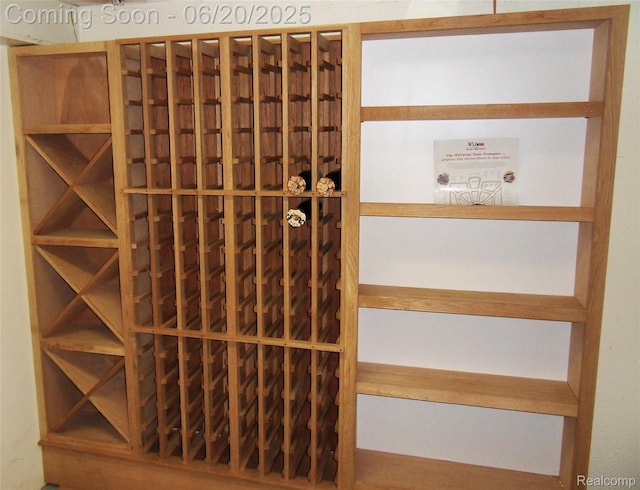 2791 Lochmoor Blvd Unit 21, Lake Orion, MI 48360 - view of wine cellar