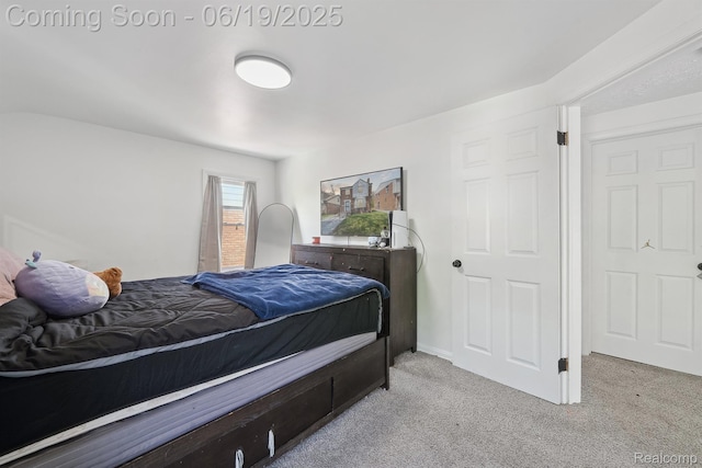 15477 Lauder St, Detroit, MI 48227 - view of carpeted bedroom