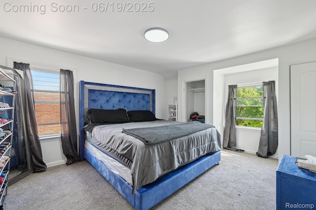 15477 Lauder St, Detroit, MI 48227 - carpeted bedroom with baseboards and a closet
