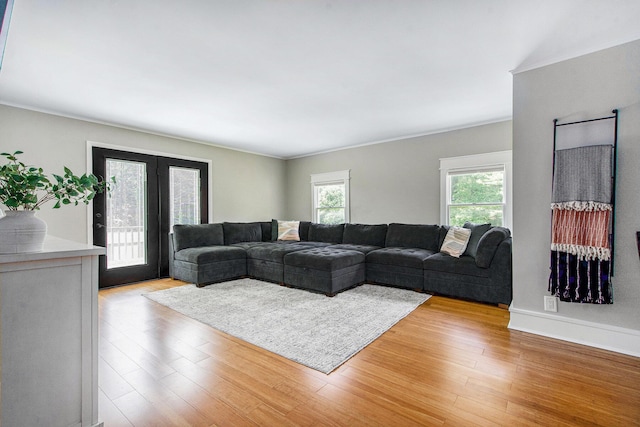 8041 Donovan Rd, Dexter, MI 48130 - living room featuring light wood finished floors and ornamental molding