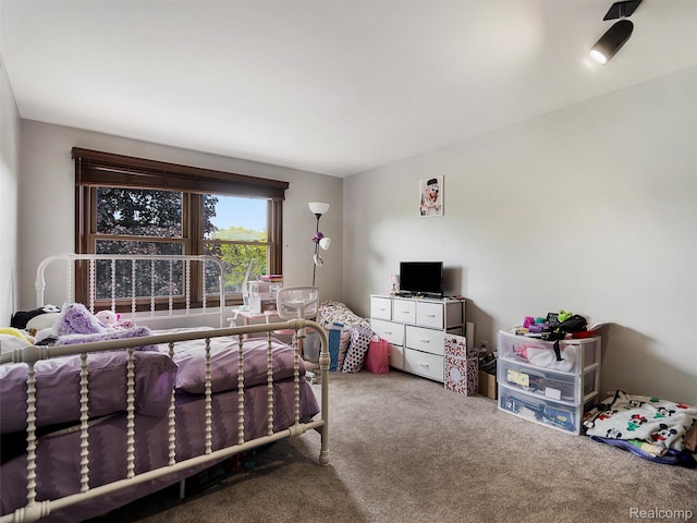 1890 Ludgate Ln, Rochester Hills, MI 48309 - bedroom featuring carpet flooring