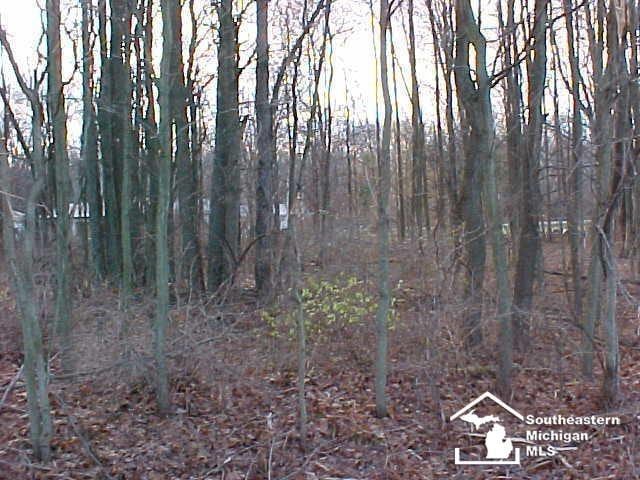 LOT18/19 Onway Dr, Ottawa Lake, MI 49267