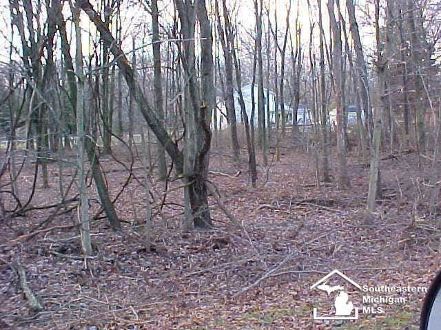 LOT18/19 Onway Dr, Ottawa Lake, MI 49267