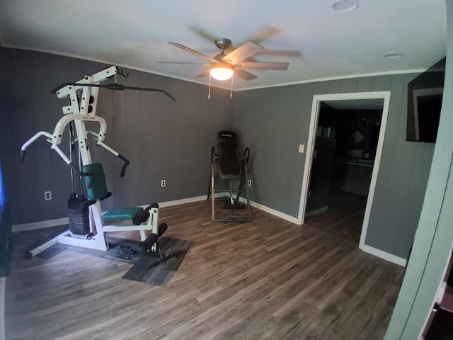 5397 E 80th St, Newaygo, MI 49337 - workout room with wood finished floors, a ceiling fan, and ornamental molding