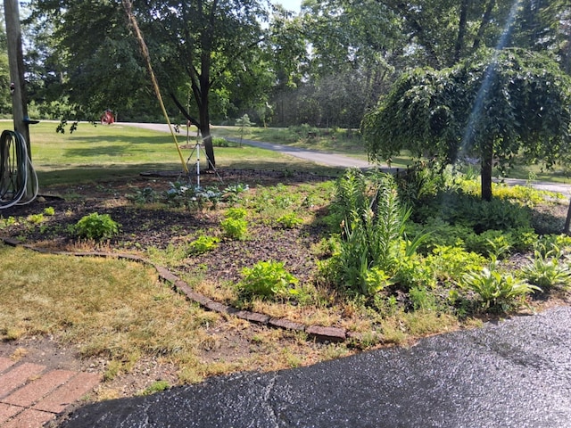 5397 E 80th St, Newaygo, MI 49337 - view of green lawn