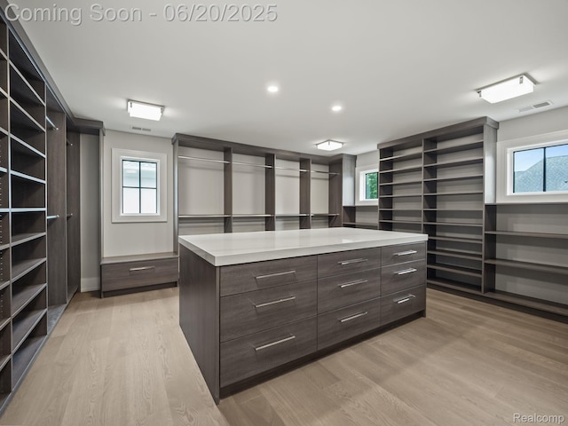 1120 Lyonhurst St, Birmingham, MI 48009 - spacious closet with light wood-style floors