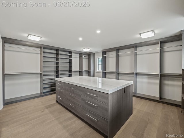 1120 Lyonhurst St, Birmingham, MI 48009 - spacious closet with light wood finished floors