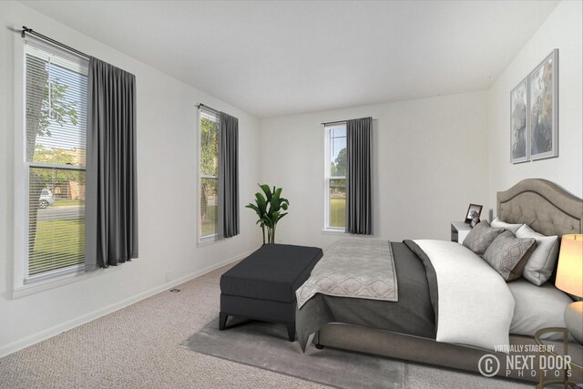 922 Marion Ave, Big Rapids, MI 49307 - bedroom with baseboards and carpet