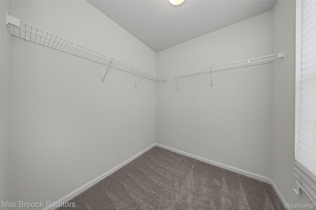 43629 Prospect Unit 102, Novi, MI 48375 - spacious closet featuring carpet