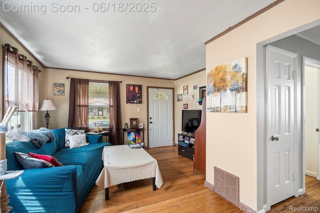 12925 Castle St, Southgate, MI 48195 - living area with ornamental molding, light wood-style flooring, and a textured ceiling