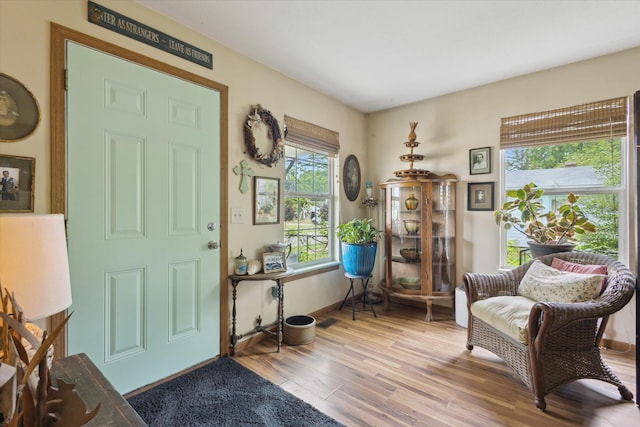 857 Kalamazoo St, South Haven, MI 49090 - foyer entrance featuring wood finished floors and baseboards