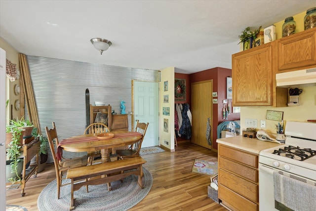 857 Kalamazoo St, South Haven, MI 49090 - dining space with light wood-style floors and a wood stove
