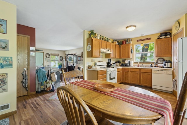 857 Kalamazoo St, South Haven, MI 49090 - kitchen with white appliances, under cabinet range hood, plenty of natural light, and light countertops