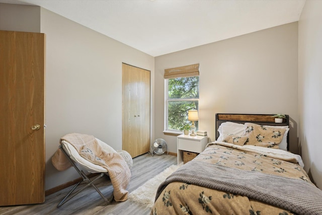 857 Kalamazoo St, South Haven, MI 49090 - bedroom featuring wood finished floors and a closet