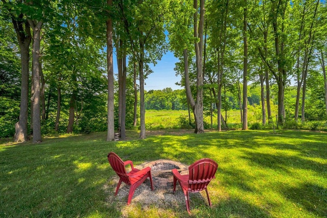 6143 Pheasant Ct, Berrien Springs, MI 49103 - view of green lawn featuring an outdoor fire pit