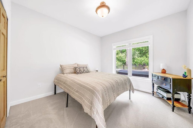 6143 Pheasant Ct, Berrien Springs, MI 49103 - bedroom with light carpet and baseboards
