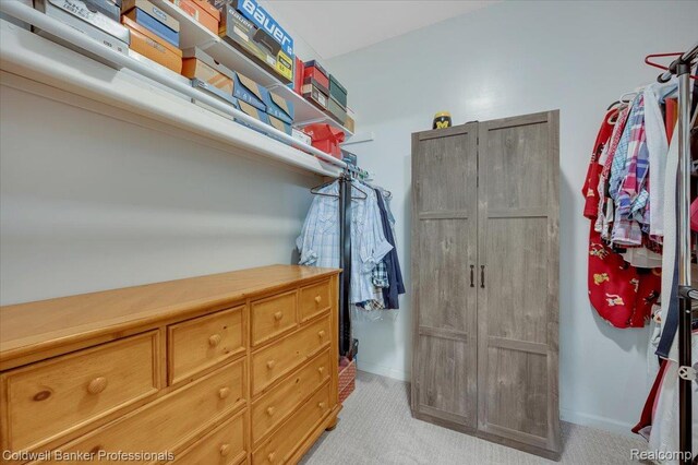 6087 Davison Rd, Byron, MI 48509 - spacious closet featuring light carpet