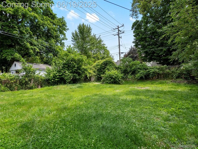 19780 Blackstone St, Detroit, MI 48219 - photo 6