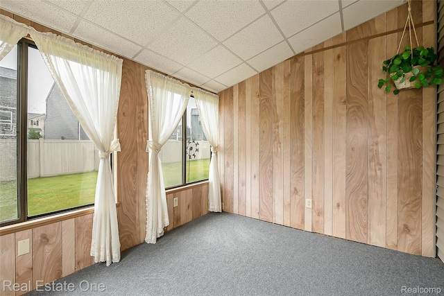 62622 Raleigh Ct Unit 4, South Lyon, MI 48178 - empty room featuring wooden walls, carpet floors, and healthy amount of natural light