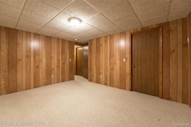 62622 Raleigh Ct Unit 4, South Lyon, MI 48178 - finished below grade area with carpet and wooden walls