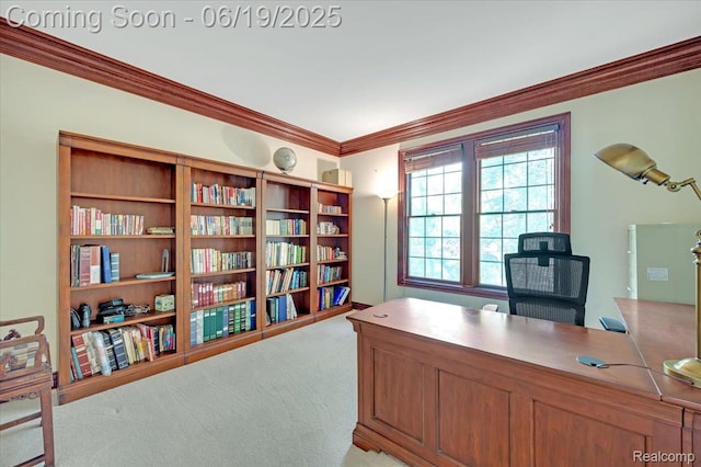 43443 Mclean Ct, Novi, MI 48375 - office area with crown molding and light colored carpet