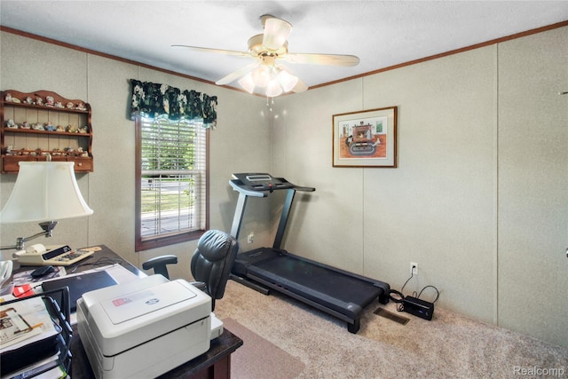 501 Kinloch, Temperance, MI 48182 - office space with ornamental molding, ceiling fan, a decorative wall, and carpet flooring