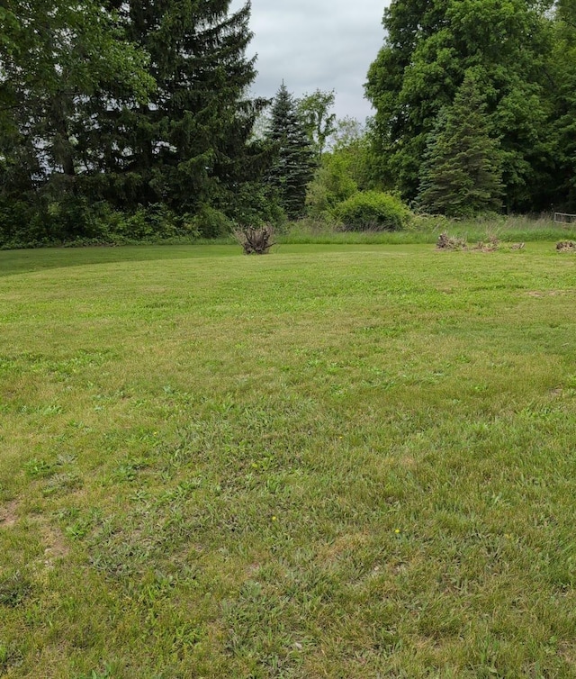 13235 Waterstradt Rd, Marcellus, MI 49067 - view of green lawn