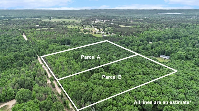 V/LParcelB Lamerson Lane, Interlochen, MI 49643