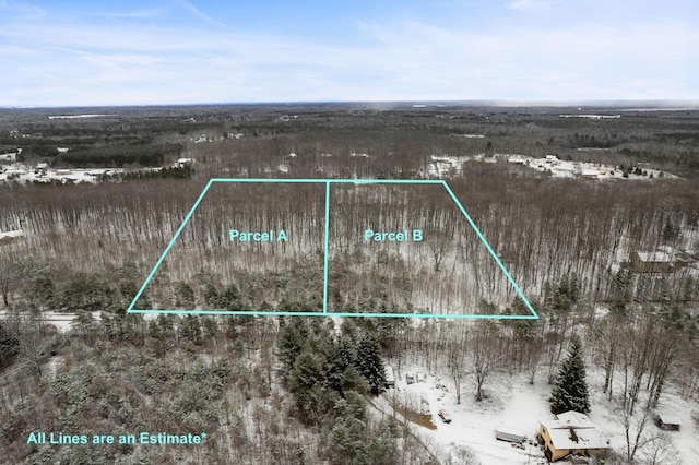 V/LParcelB Lamerson Lane, Interlochen, MI 49643