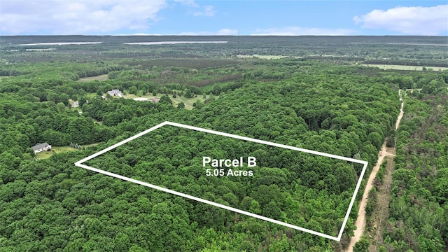 V/LParcelB Lamerson Lane, Interlochen, MI 49643