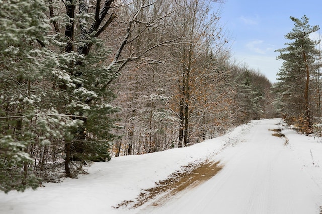 V/LParcelB Lamerson Lane, Interlochen, MI 49643