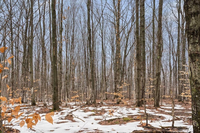 V/LParcelB Lamerson Lane, Interlochen, MI 49643