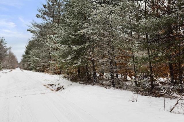 V/LParcelB Lamerson Lane, Interlochen, MI 49643