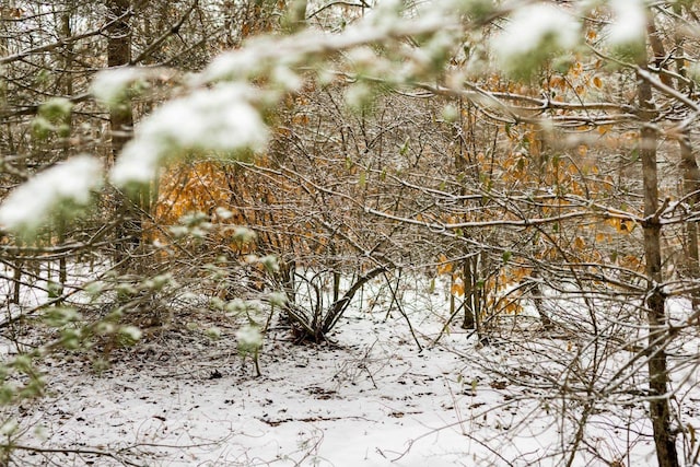 V/LParcelB Lamerson Lane, Interlochen, MI 49643