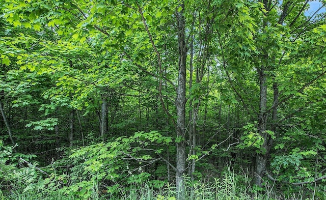 V/LParcelB Lamerson Lane, Interlochen, MI 49643