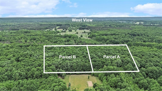 V/LParcelB Lamerson Lane, Interlochen, MI 49643