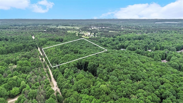 V/LParcelB Lamerson Lane, Interlochen, MI 49643