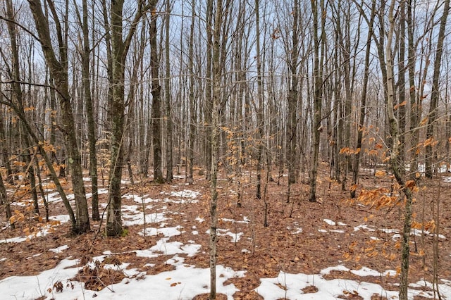 V/LParcelB Lamerson Lane, Interlochen, MI 49643