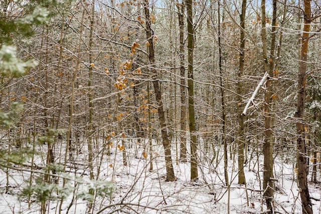 V/LParcelB Lamerson Lane, Interlochen, MI 49643