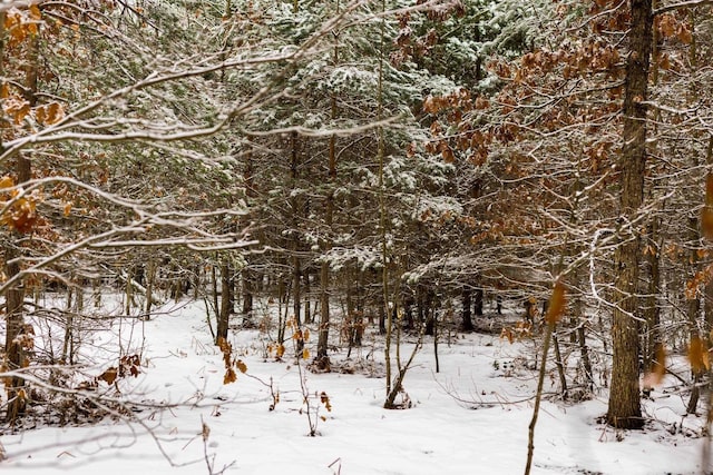 V/LParcelB Lamerson Lane, Interlochen, MI 49643