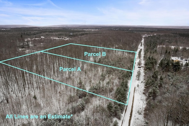 V/LParcelB Lamerson Lane, Interlochen, MI 49643