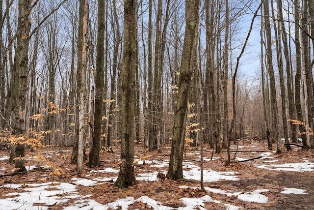 V/LParcelB Lamerson Lane, Interlochen, MI 49643