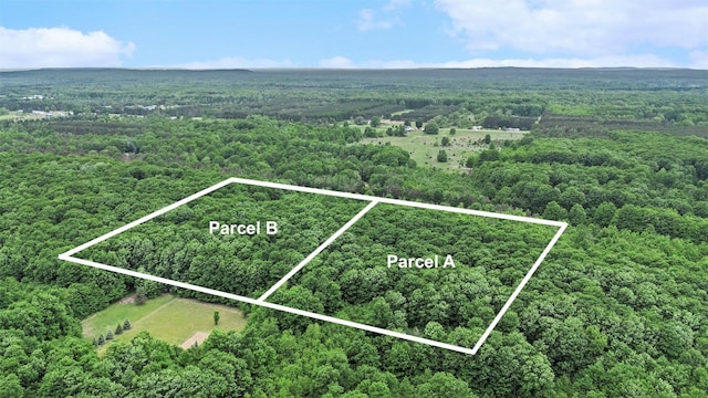 V/LParcelB Lamerson Lane, Interlochen, MI 49643
