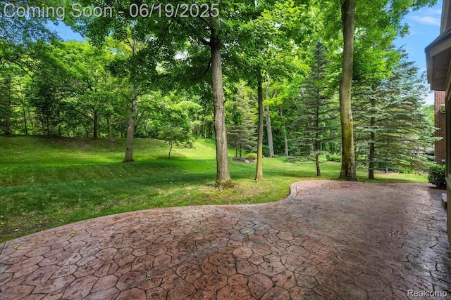 2082 Avon Lake Ln, Rochester Hills, MI 48307 - view of patio