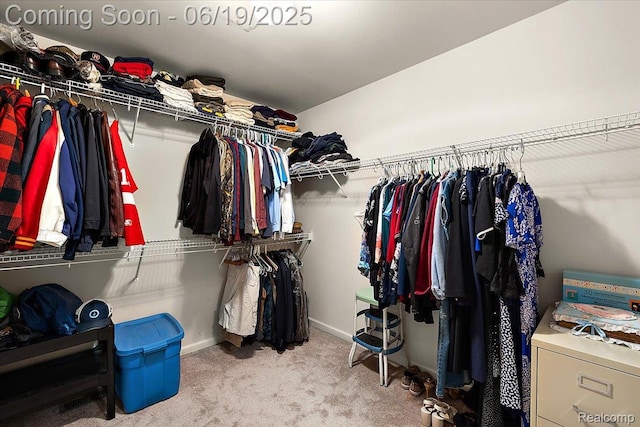 2082 Avon Lake Ln, Rochester Hills, MI 48307 - walk in closet with carpet floors