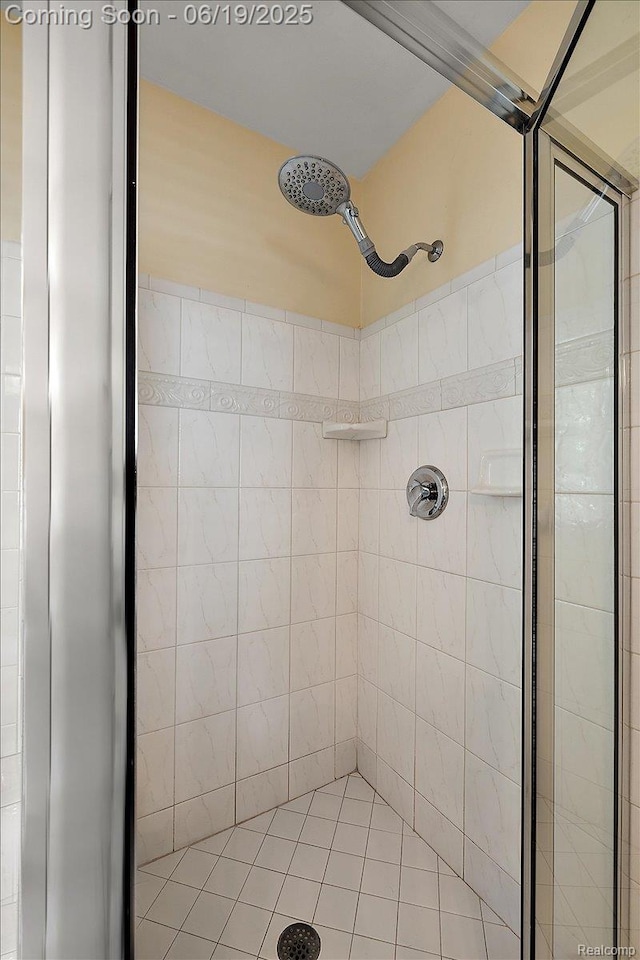 2082 Avon Lake Ln, Rochester Hills, MI 48307 - full bath featuring a shower stall