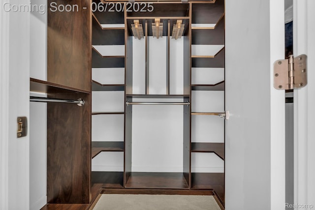 2648 John R St, Detroit, MI 48201 - view of spacious closet