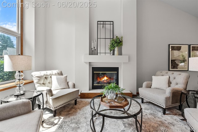 2206 Estates Dr, Highland, MI 48357 - living room with high vaulted ceiling and a glass covered fireplace