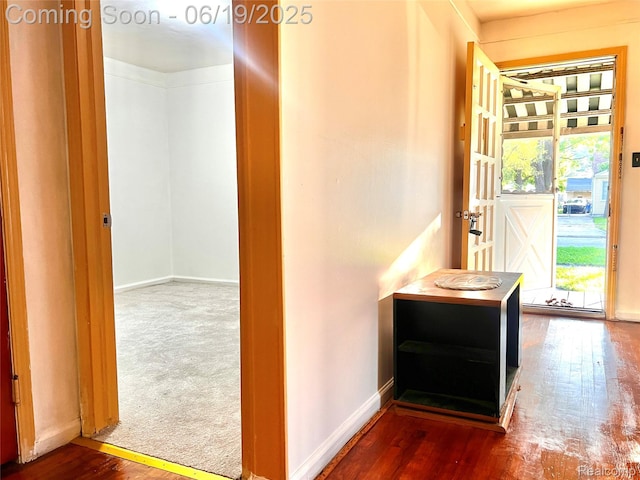 20760 Atlantic Ave, Warren, MI 48091 - hall featuring healthy amount of natural light and wood-type flooring