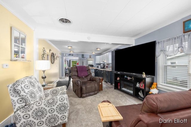 204 Maple St, Durand, MI 48429 - living area featuring crown molding and light carpet